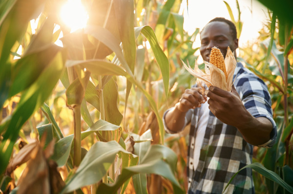 Partnership success stories