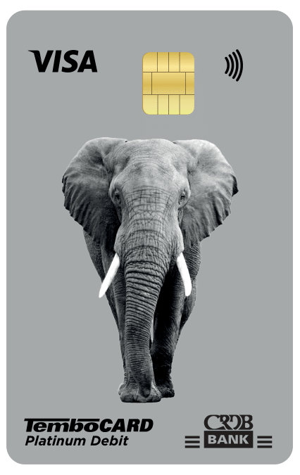TemboCard Platnum Visa